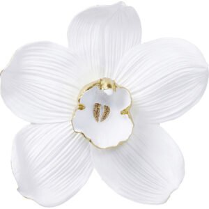 Orquídea de parede