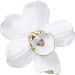 Orquídea de parede