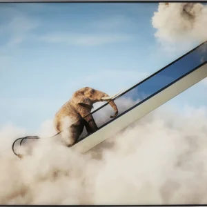 Quadro Emoldurado Elephant In The Sky